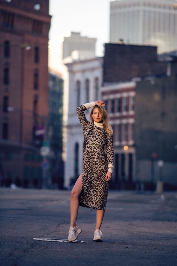 leopard print dress